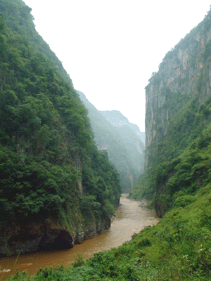 赫章国家森林公园