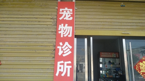 宠物诊所