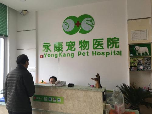 沈阳永康宠物医院