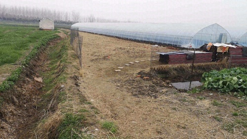 兴化市湖润农业发展有限公司的第2张图片的图片资料