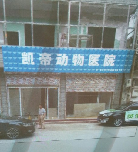 凯帝动物医院