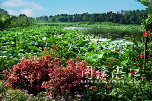 湛江绿塘河湿地公园