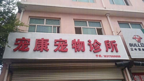 宠康宠物诊所