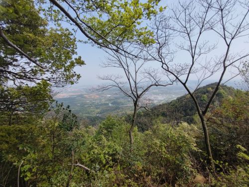 仰天岗登山步道