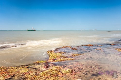 莺歌海湾