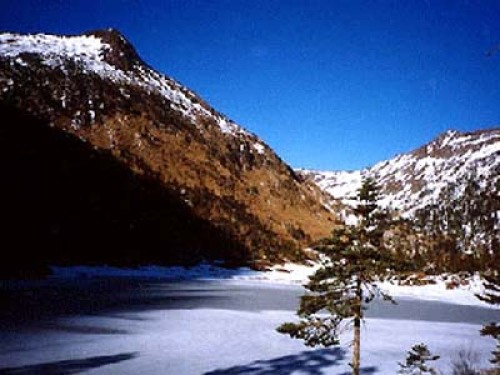 高黎贡山国家级自然保护区