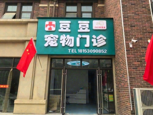 豆豆宠物门诊