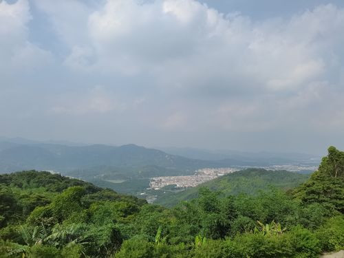 锡场藤吊岭桃仁寺