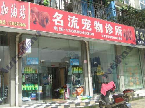 名流宠物诊所(沙堰巷)