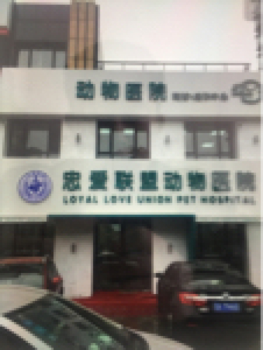 沈阳忠爱联盟动物医院