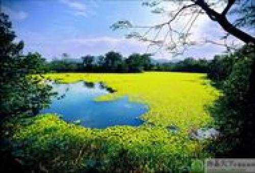 诸暨白塔湖国家湿地公园