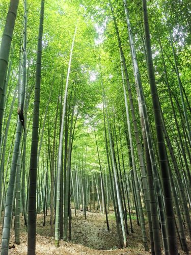 石洞景区