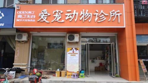爱宠动物诊所