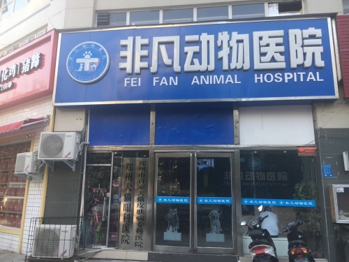 非凡动物医院