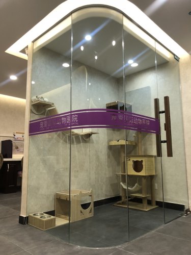 宠爱国际维尼动物医院(杭州江晖路店)