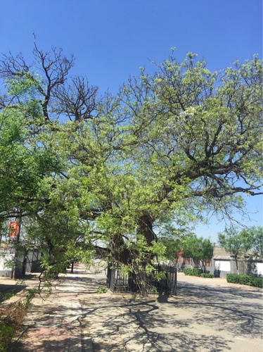 李大钊故居(暂停营业)