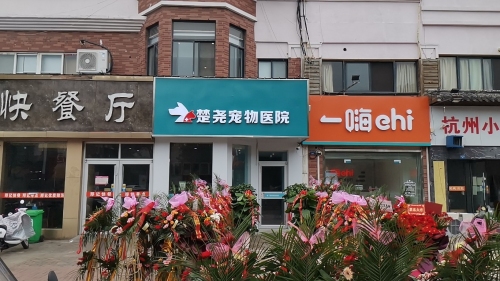 楚尧宠物医院