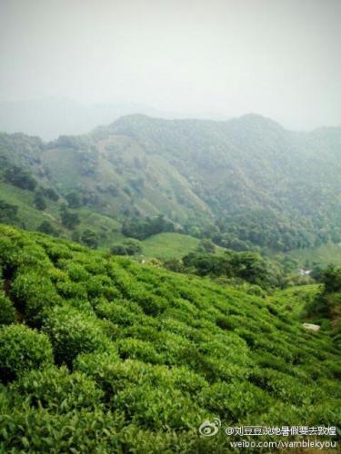 杭州西湖风景名胜区-龙井八景