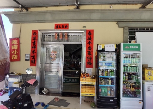 儋州大成晖晖百货店