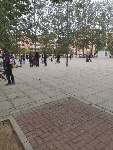 胜利小区公园