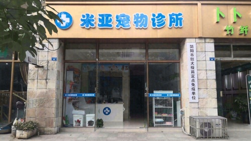 米亚宠物诊所
