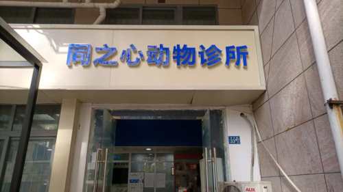 武汉天安医院-同之心动物诊所