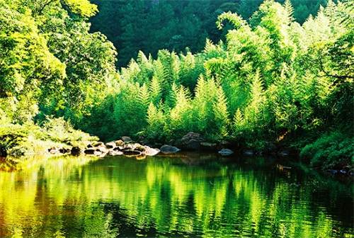 自怀风景区