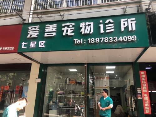 爱善宠物诊所