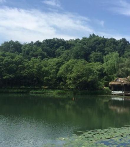 杭州西湖风景名胜区-浴鹄湾景区