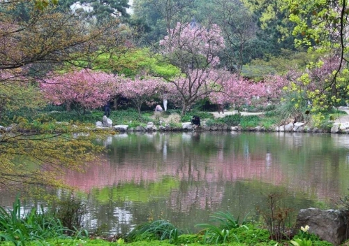 花港公园