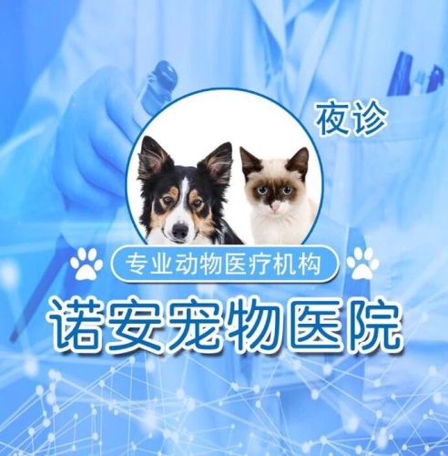 诺安宠物医院
