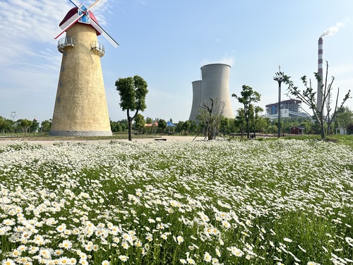 青龙河生态文化主题公园