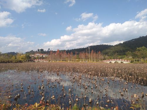 洗马湖湿地公园