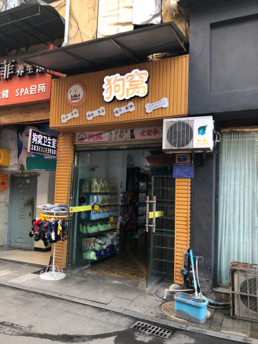 狗窝诊所