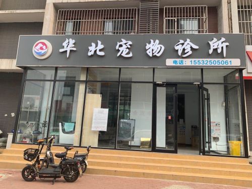 华北宠物诊所