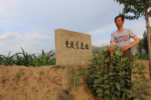 东段景遗址