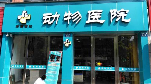 动物医院
