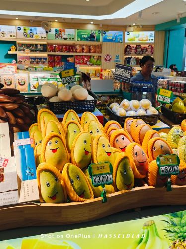 海南印象(三亚凤凰国际机场店)