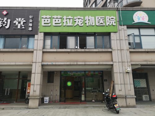 杭州芭芭拉宠物医院(三墩店)