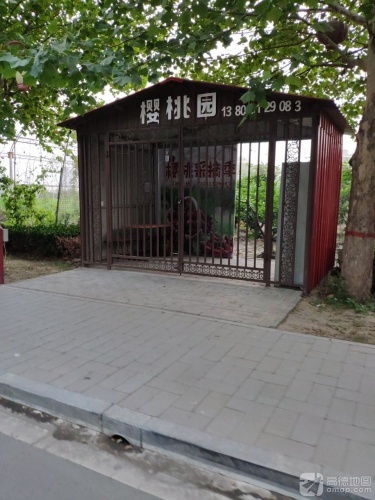 晨清樱桃园(暂停营业)