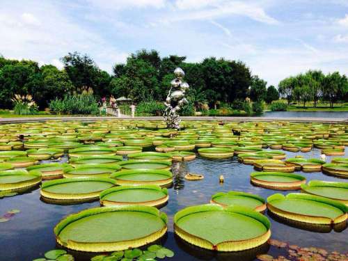 上海植物园