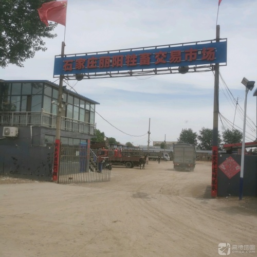 石家庄丽阳牲畜交易市场