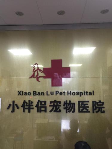 小伴侣宠物医院(禅城店)