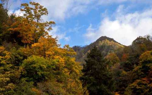 重庆酉阳土家族苗族自治县旅行攻略