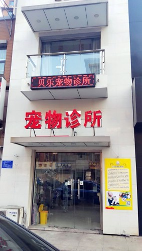 贝乐宠物诊所