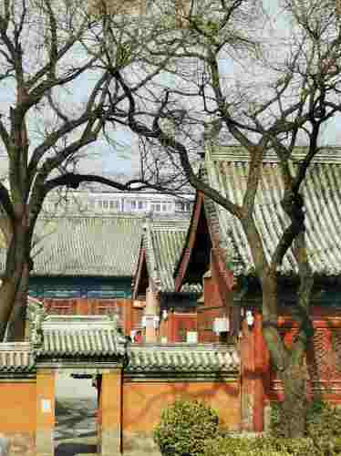 报国寺（高德地图）