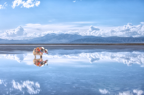 茶卡盐湖景区