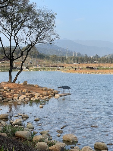 龙州湿地