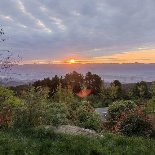 乌梅山风景名胜区