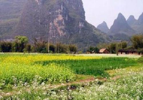 杨堤